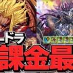 闇ラードラが多色最強キャラに！最強ループ×オールマイトで裏多次元攻略！【パズドラ】