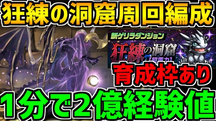 狂練の洞窟周回編成3パターン紹介！育成枠あり！1分で2億経験値を荒稼ぎしよう！【パズドラ】