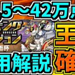 【王冠確定】ランダン41,5～42,1万点↑代用・立ち回り解説！アメミナカヌシ×リィ編成！絶仮面杯【パズドラ】