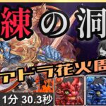 【パズドラ】狂練の洞窟！シヴァドラ花火90秒爆速周回編成！