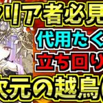 【絶対勝たせる】最新ラフィーネ編成！多次元の越鳥！代用たくさん！立ち回り簡単！【パズドラ】