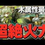 木属性の強リーダー誕生！リズレット×蒙武ループで百式攻略！パズドラ革命！【パズドラ】