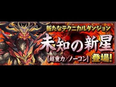 【パズドラ】未知の新星マルチ