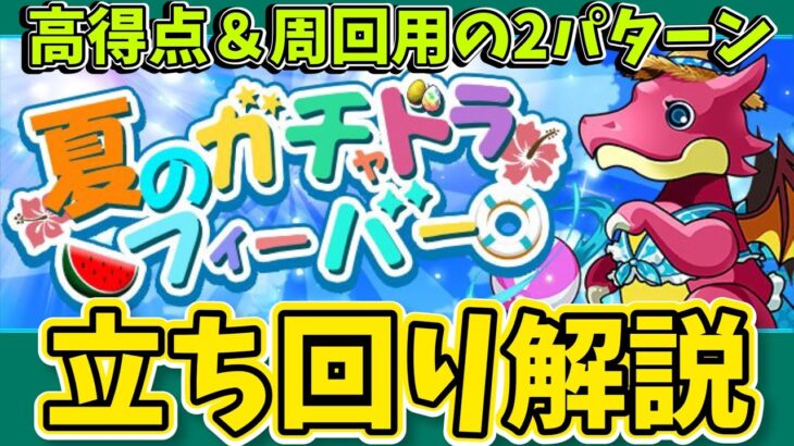 【ランダン】ガチャドラフィーバー高得点立ち回り解説！周回も可能！【パズドラ】