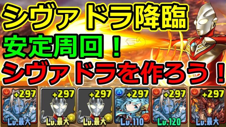 【シヴァドラ降臨】ティガループで安定周回！立ち回り解説！【パズドラ】