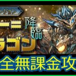 【パズドラ】ラードラ降臨ソロ～完全無課金パ（ガチャ限なし、コラボなし、イベントキャラなしの低難易度編成）