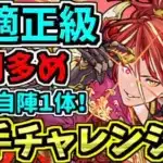 【最適正級】自陣１体！千手チャレンジ！アンタレス編成！代用多め・立ち回り解説！未知の新星！蒼穹の千龍【パズドラ】