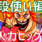 【パズドラ】160億が秒で出る！初心者向け解説込みのカイドウ入りビックマム普段使い編成紹介！【ワンピースコラボ】