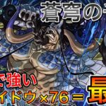 【蒼穹の千龍】リダフレカイドウの７６編成がメッチャ強い！全パラ25倍！！【パズドラ実況】