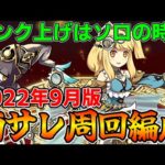 【裏魔門の守護者】両サレでソロ周回！ワンピースキャラで楽々回れる！裏修羅の幻界スタミナ3分の1！【パズドラ実況】