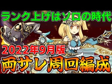 【裏魔門の守護者】両サレでソロ周回！ワンピースキャラで楽々回れる！裏修羅の幻界スタミナ3分の1！【パズドラ実況】