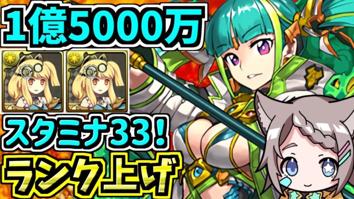 【両サレ裏修羅】スタミナ33で経験値1億5000万！ランク上げ！カタクリ編成！【パズドラ】