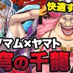 【蒼穹の千龍】復帰勢が初クリアしたビッグマム×ヤマトの編成を紹介！！強すぎます・・・【ふみパズ#579】