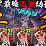 【もはやバグ】Lv.25ナーガ3体入れ「カイドウ」編成で千龍クリア！！！！！　千手チャレンジ【パズドラ ONE PIECE】