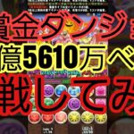 【パズドラ】ONE PIECE FILM RED懸賞金ダンジョン　賞金100億5610万ベリーに挑戦してみた