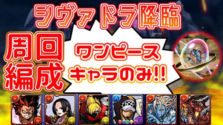 【シヴァドラ降臨】ワンピースキャラのみ! 周回PT 字幕解説【パズドラ】