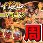 【パズドラ】ルフィ持ってなくても快適！シヴァドラゴン降臨周回編成！代用解説あり！