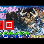 【パズドラ】７×６カイドウでラクラクパズル！ランマル降臨周回編成！代用解説あり！