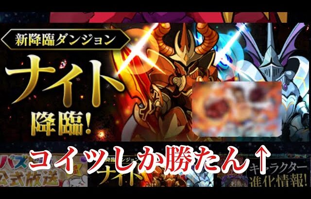 【パズドラ】ナイト降臨はコイツしかないね。カンスト連発で楽々クリア