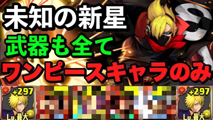 【神パ】レベル110でOK！キャラ被りなし！パズルも簡単！アシストも全てワンピースキャラのみで未知の新星を安定攻略！【パズドラ】