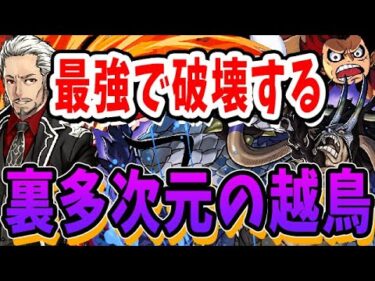 【裏多次元】木ユリシャの耐久不要じゃんw マリウスとルフィが最強すぎる！！【パズドラ実況】