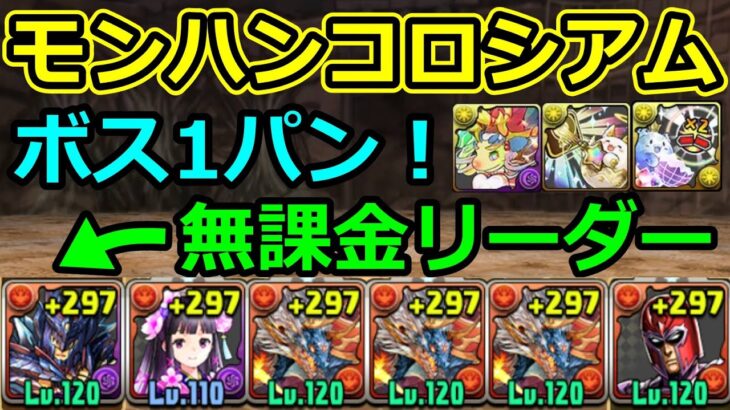 【モンハンコロシアム】ボス1パン！無課金リーダー×マグニートーのシヴァドラ編成で周回！【パズドラ】