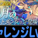 【#10月クエストダンジョン】チャレンジ10にシヴァドラループで攻略！！【パズドラ】