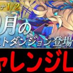 【#10月クエストダンジョン】パズル教室無視！チャレンジ9を攻略！！【パズドラ】