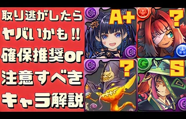 【この2体だけは絶対確保‼︎】ハロウィンキャラの確保推奨キャラ、能力解説（ハロウィンネレ、ハロウィンチャコル、ハロウィンコットン、ハロウィンスオウ、交換、交換所、コロシアム、周回、攻略）【パズドラ】