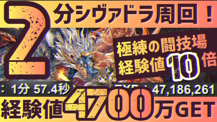 【パズドラ】極練の闘技場！シヴァドラループ！2分で経験値4700万GET周回！