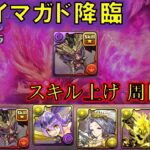 【#パズドラ】キリンなんて持ってねえよ マガイマガド降臨 3分30秒【#周回編成】【#スキル上げ】