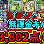 【ランダン】スクルド杯！37万↑五条ルートパズルで簡単王冠！無課金キャラ多め！代用・立ち回り解説＆ルート解説【パズドラ】