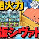 水属性版シヴァドラ！？KIRIMIループが最強すぎる！ノルザキティと相性抜群壊れ性能に！【パズドラ】