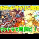 【パズドラ】ガチャドラプリン降臨 シヴァドラ編成で楽々攻略！！！