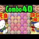 【相性抜群⁈】変態パズル×最強キティコンビで裏機構城を完全粉砕！【パズドラ】