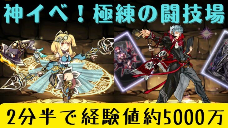 【パズドラ】極練の闘技場を今両サレで周回するとランク上げ放題です！