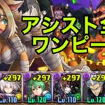 【ハロウィンコロシアム】ハロウィンチャコル×ブラックバードで安定攻略【パズドラ】