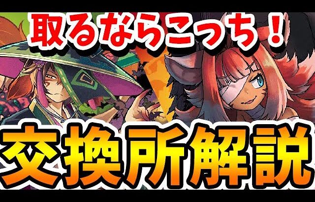 スオウとチャコルどっち取るべき？ハロウィンキャラの交換所解説！！【パズドラ実況】