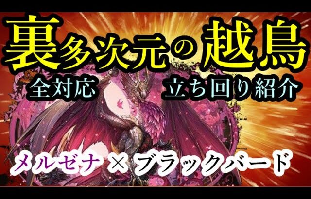 【パズドラ】裏多次元の越鳥 メルゼナ×ブラックバード編成 全対応立ち回り紹介！