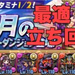 【パズドラ】11月のチャレダン8固定パーティー、攻略動画