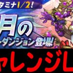 【#11月クエストダンジョン】チャレンジ9にヤマト✕カイドウで攻略！！【パズドラ】