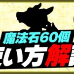 【知らないと損】魔法石60個は今使うな！6000万DL記念ゴッドフェスは引いてもいい！ちょっと待って解説！【パズドラ】