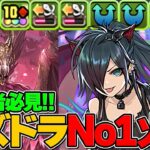 【蒼穹の千龍】パズドラNO1の火力のロシェが強い！メルゼナのサブで使ってみた！【パズドラ実況】