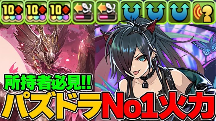 【蒼穹の千龍】パズドラNO1の火力のロシェが強い！メルゼナのサブで使ってみた！【パズドラ実況】