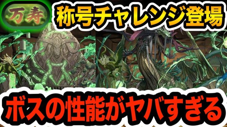 万寿チャレンジ登場！『万寿龍・クーバンシェン』が確保必須性能すぎる！！！【パズドラ】