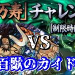 【パズドラ】万寿チャレンジ攻略！！カイドウ最強！！※詳しい編成は概要欄に記載してます。#パズドラ #カイドウ #万寿チャレンジ