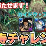 【パズドラ】万寿チャレンジ！！カイドウ使って誰でも勝てる編成できました！！無課金キャラも入れて安定周回！！代用・立ち回り詳しく解説！