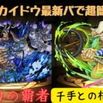 【パズドラ】カイドウパ最新編成で千手やったら簡単すぎました！