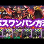 【パズドラ】ブラックサンで百式ボスワンパンするだけ