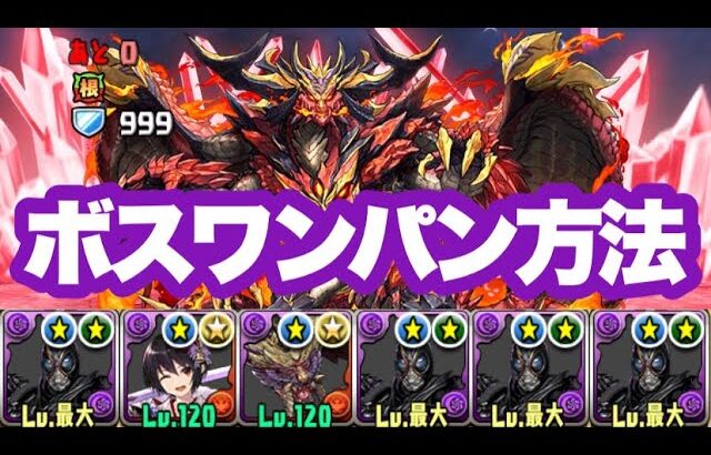 【パズドラ】ブラックサンで百式ボスワンパンするだけ